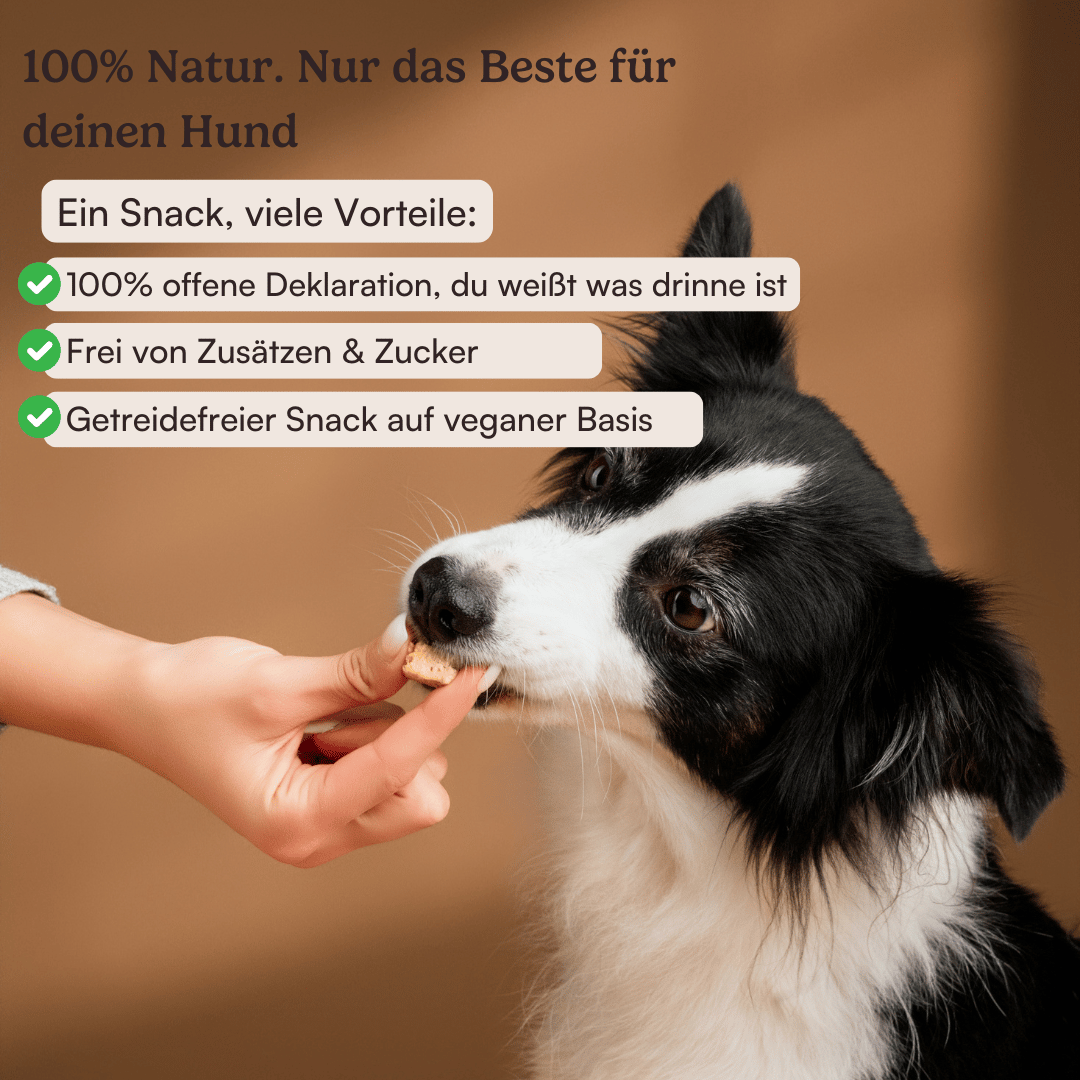 Hundehappen Seniorenschmaus
