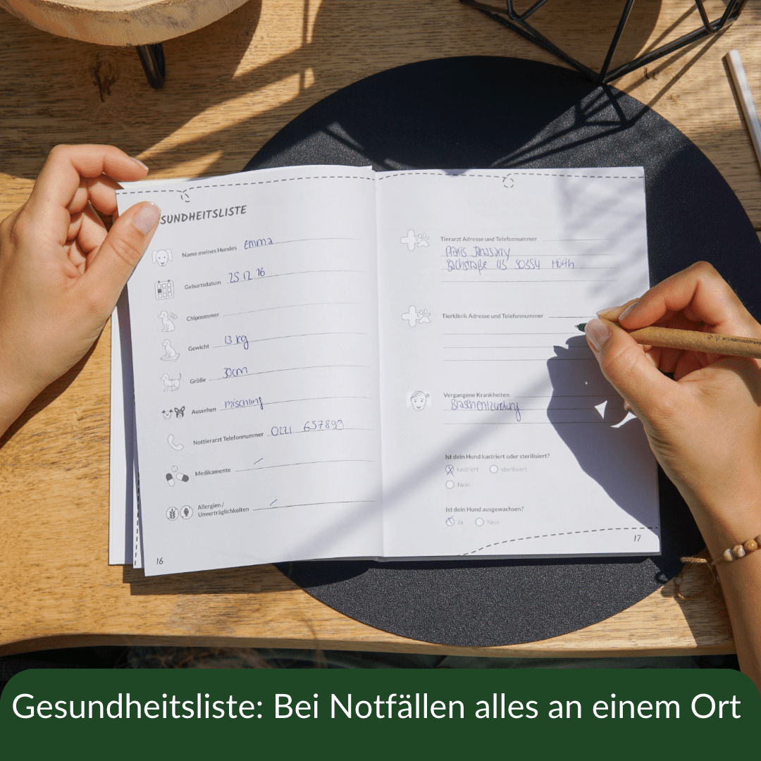 Hunderunde - Glückstagebuch