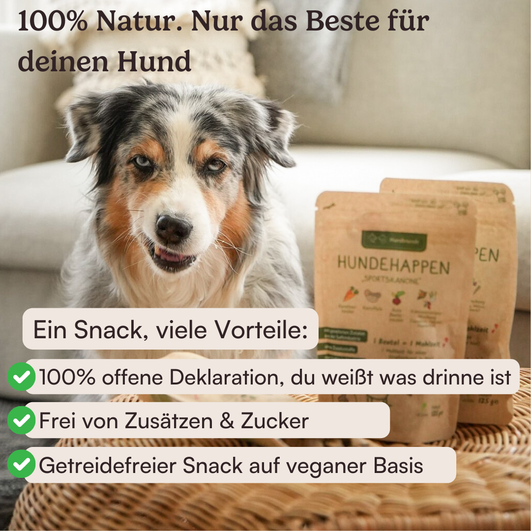 Hundehappen Probierpaket