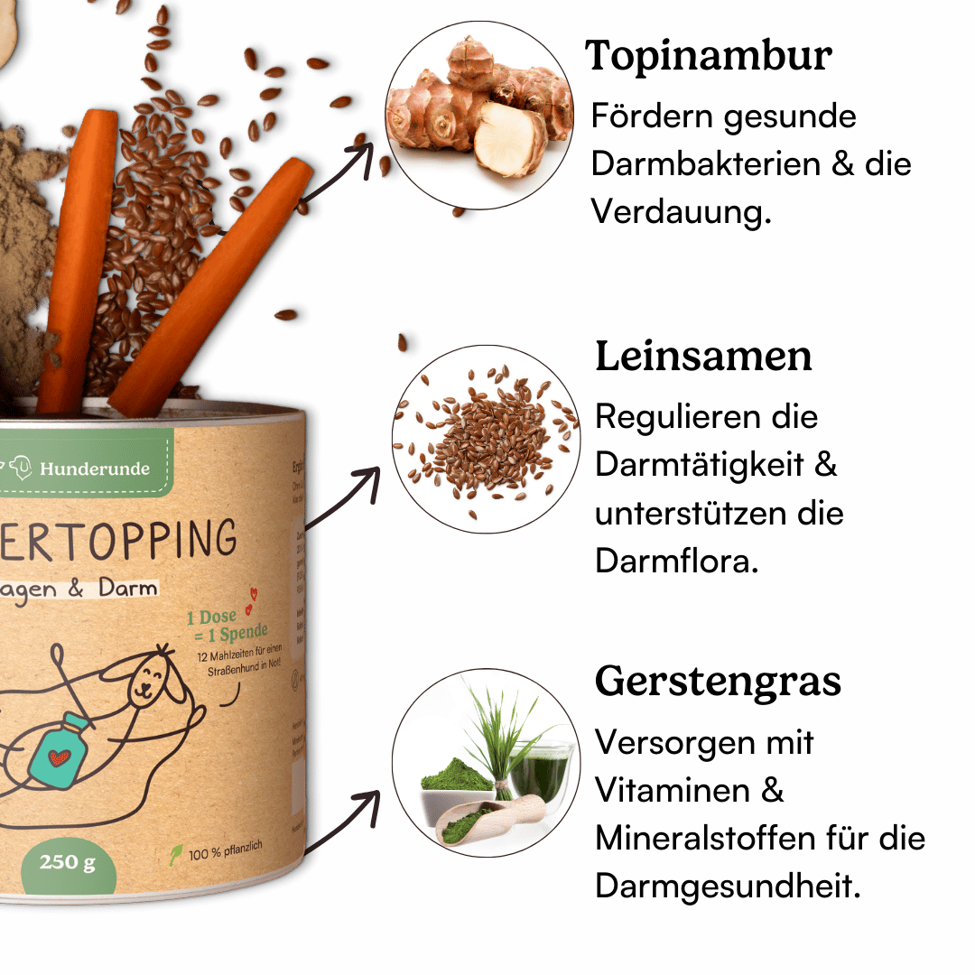 Maximum Sparen: Dose mit Pulver, Karottenstücken und Zutaten wie Topinambur, Leinsamen und Gerstengras, inklusive Infotexten.
