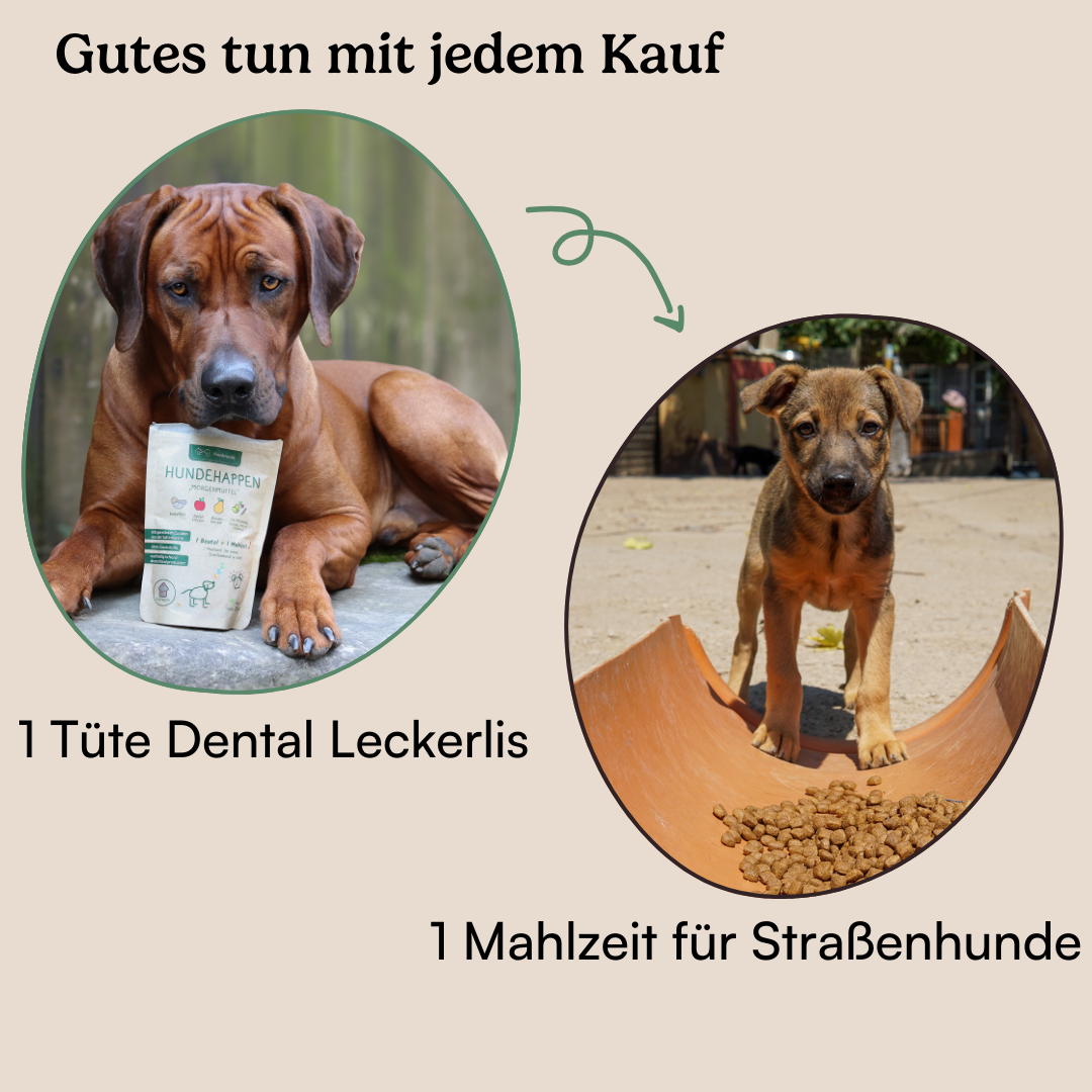 Hundehappen Probierpaket