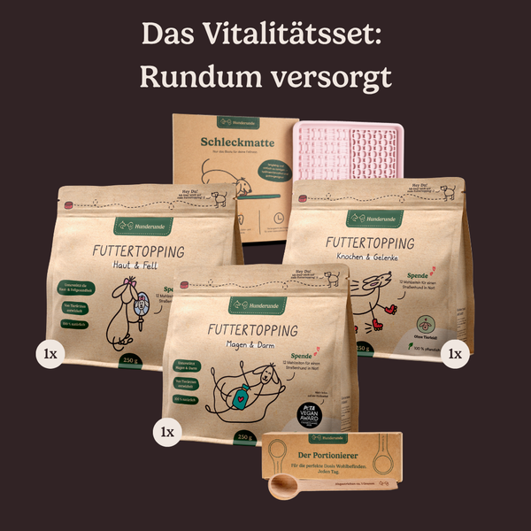 Vitalitäts-Set Haut, Gelenke & Darm