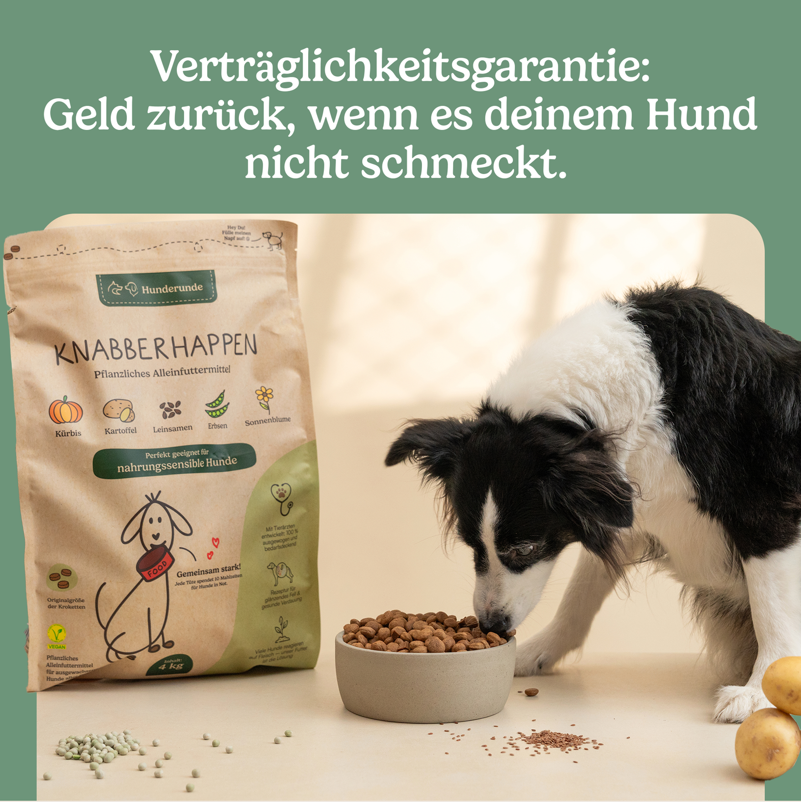 Bye-Bye Bauchweh Bundle