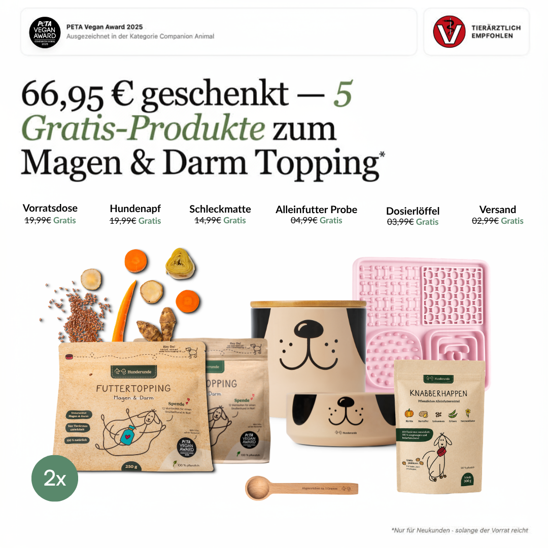 Daily Darm Formular - All in one Paket