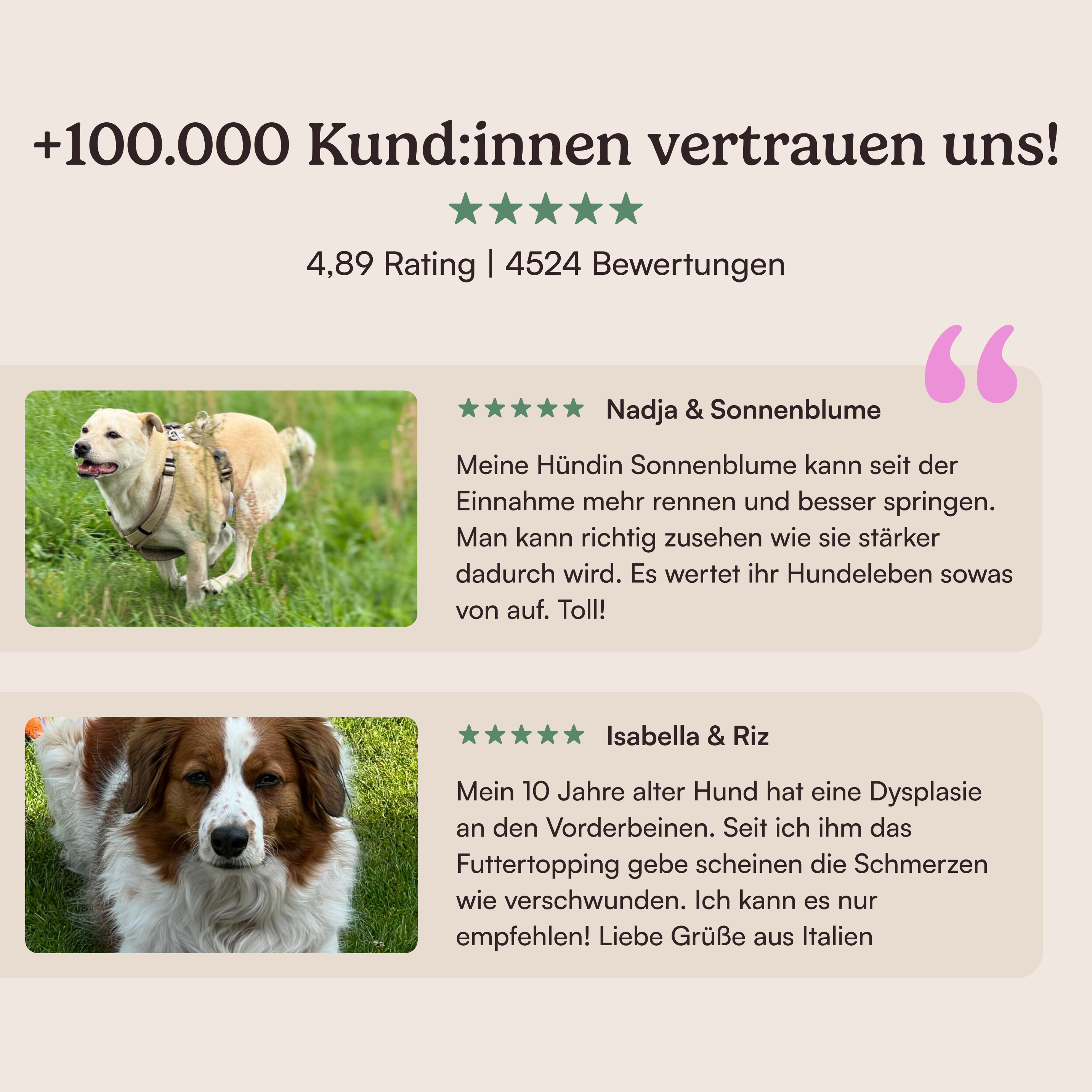 Futtertopping Knochen & Gelenke