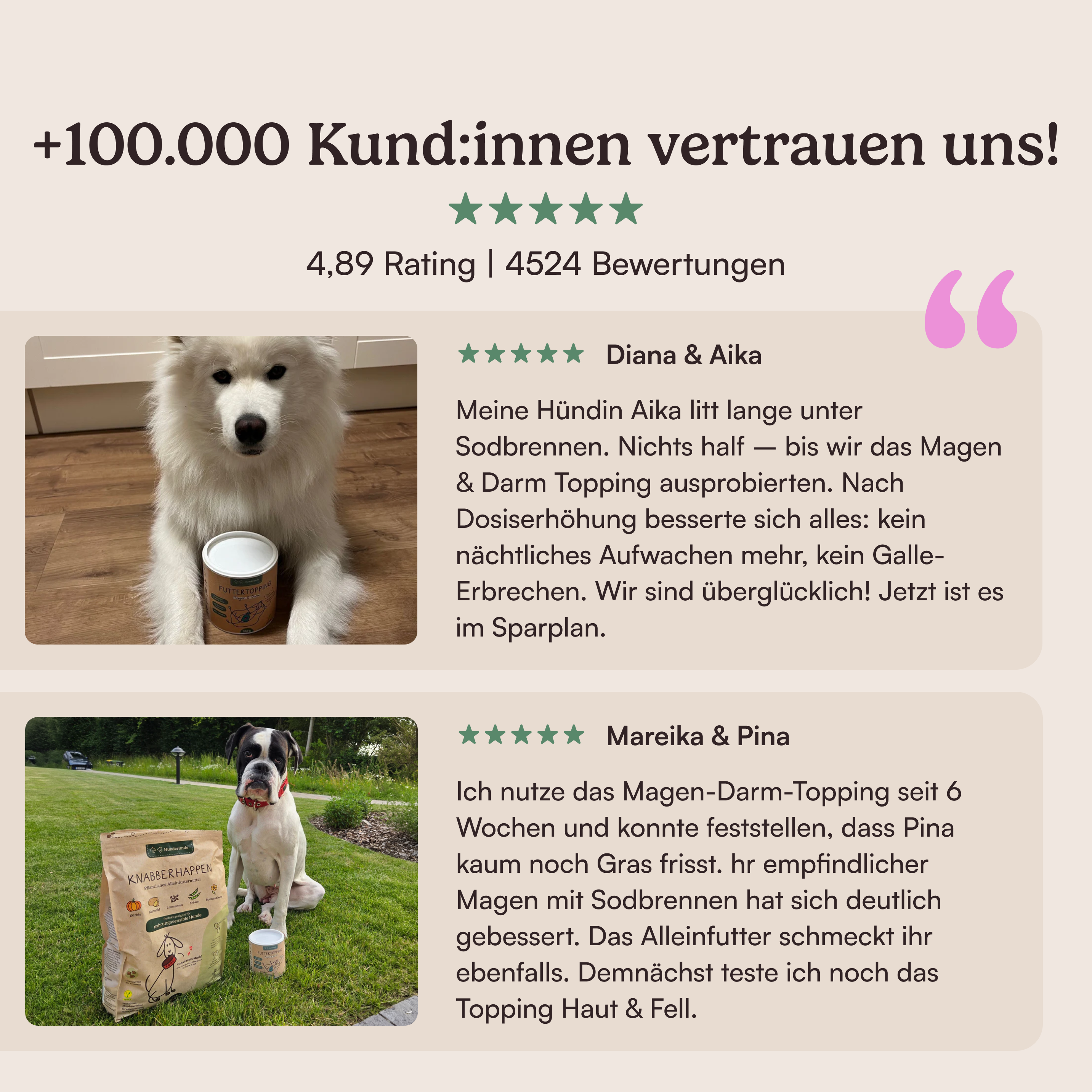 Futtertopping Magen & Darm für Hunde