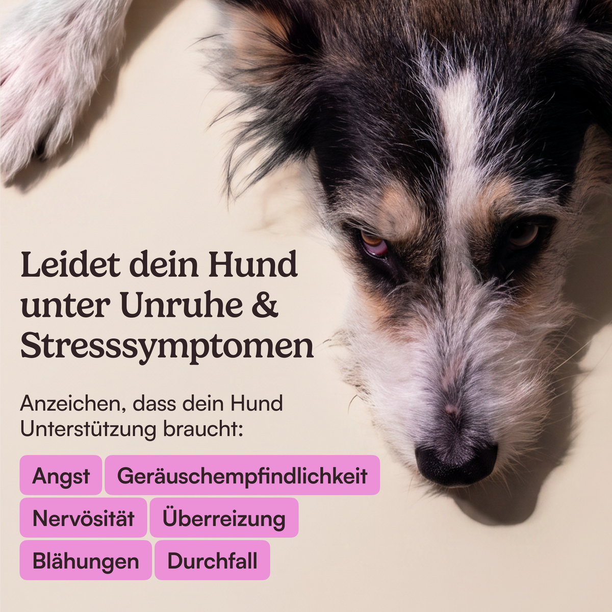 Futtertopping Seelenruhe
