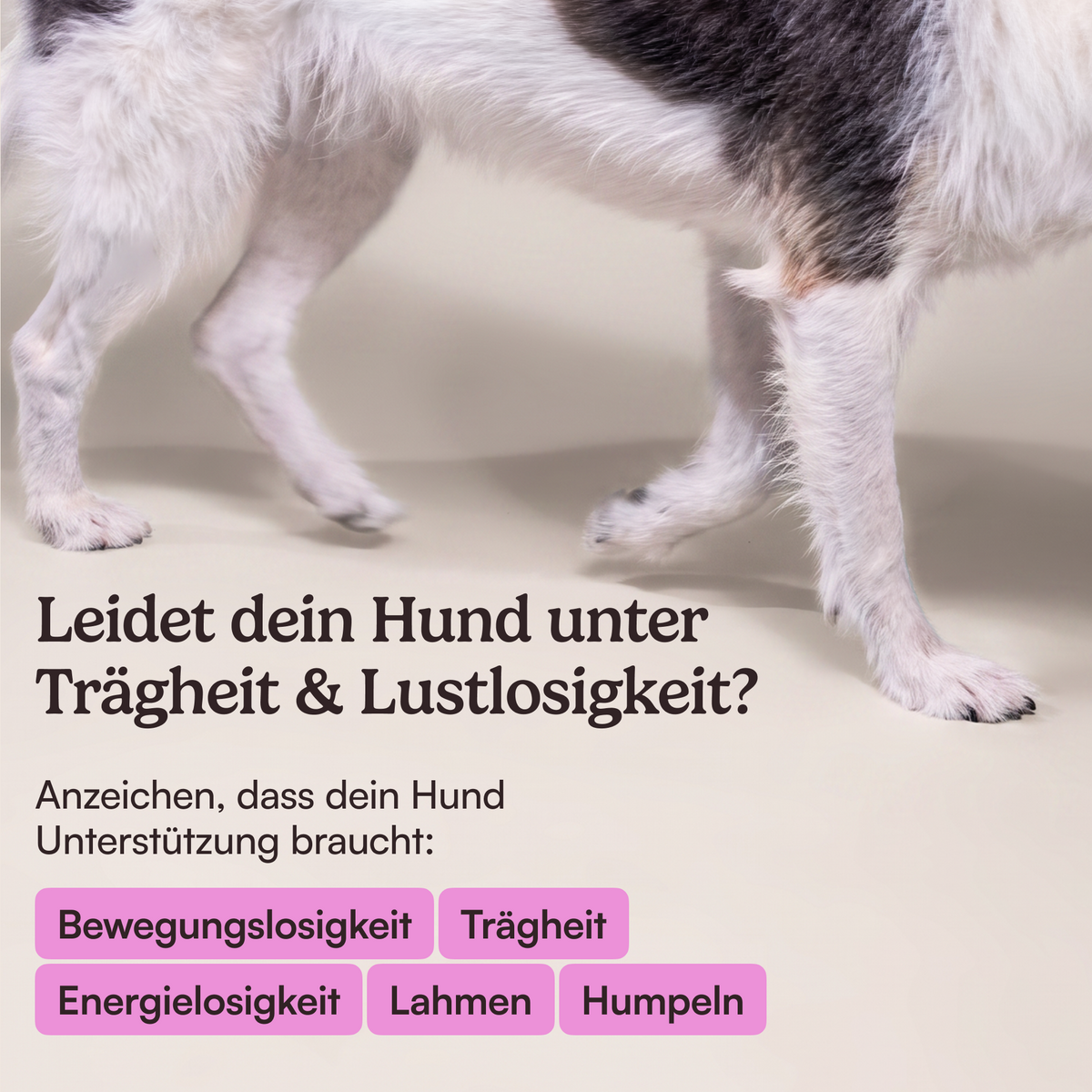 Futtertopping Bewegungsfreude