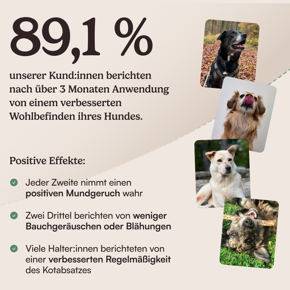Futtertopping Maulfrische