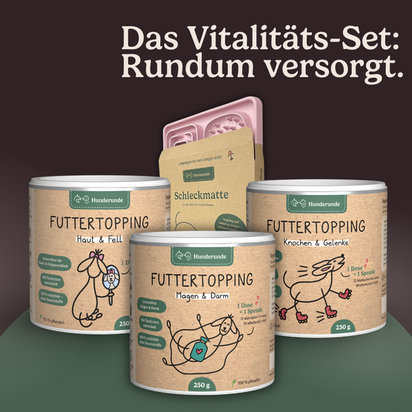 Drei Dosen des Hunderunde Vitalitäts-Set Haut, Gelenke & Darm mit deutschem Text sind auf dunklem Hintergrund abgebildet - ideal zur Unterstützung der Ernährung und Pflege Ihres Hundes.