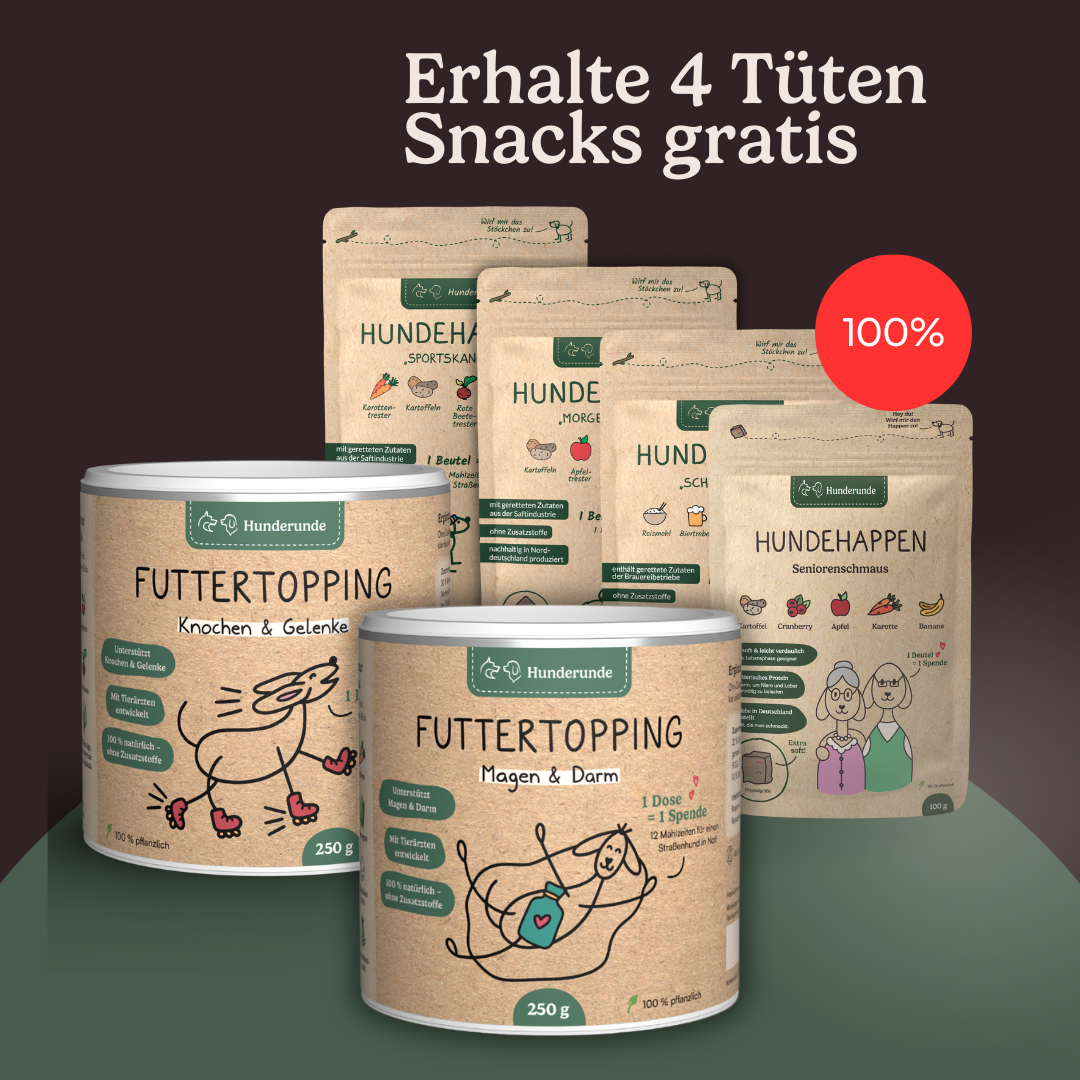 Get the Topping & Snack Bundle: includes 2 cans and 4 bags of Hundrunde pet food—with an offer of 4 free snack bags!.
