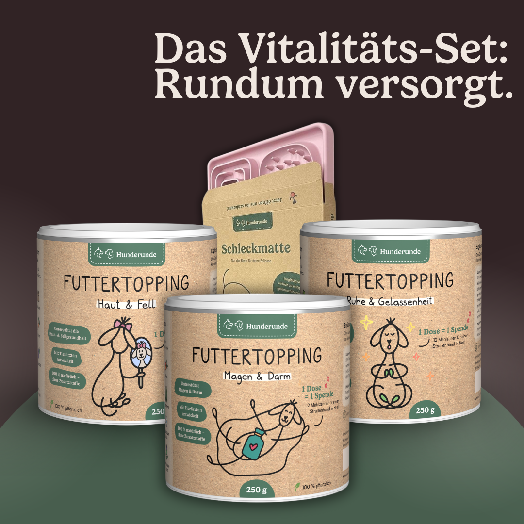 Vitalitäts-Set Haut, Ruhe & Darm