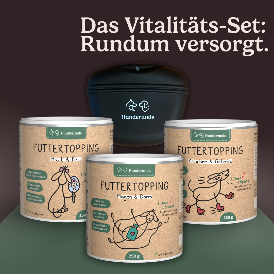 Vitalitäts-Set Haut, Gelenke & Darm