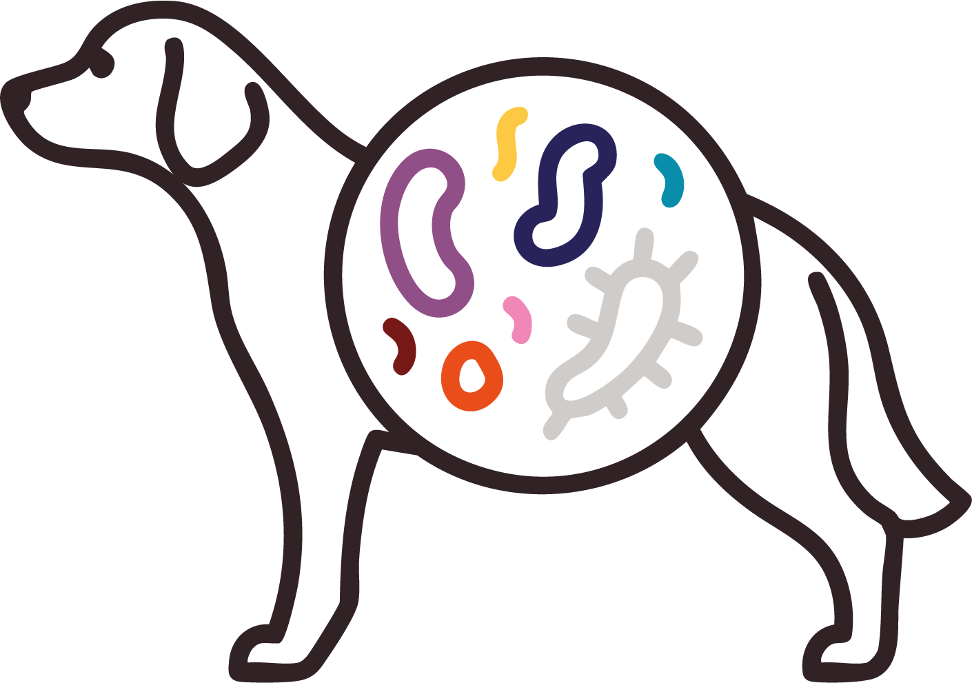 Hund mit Magenbakterien Illustration