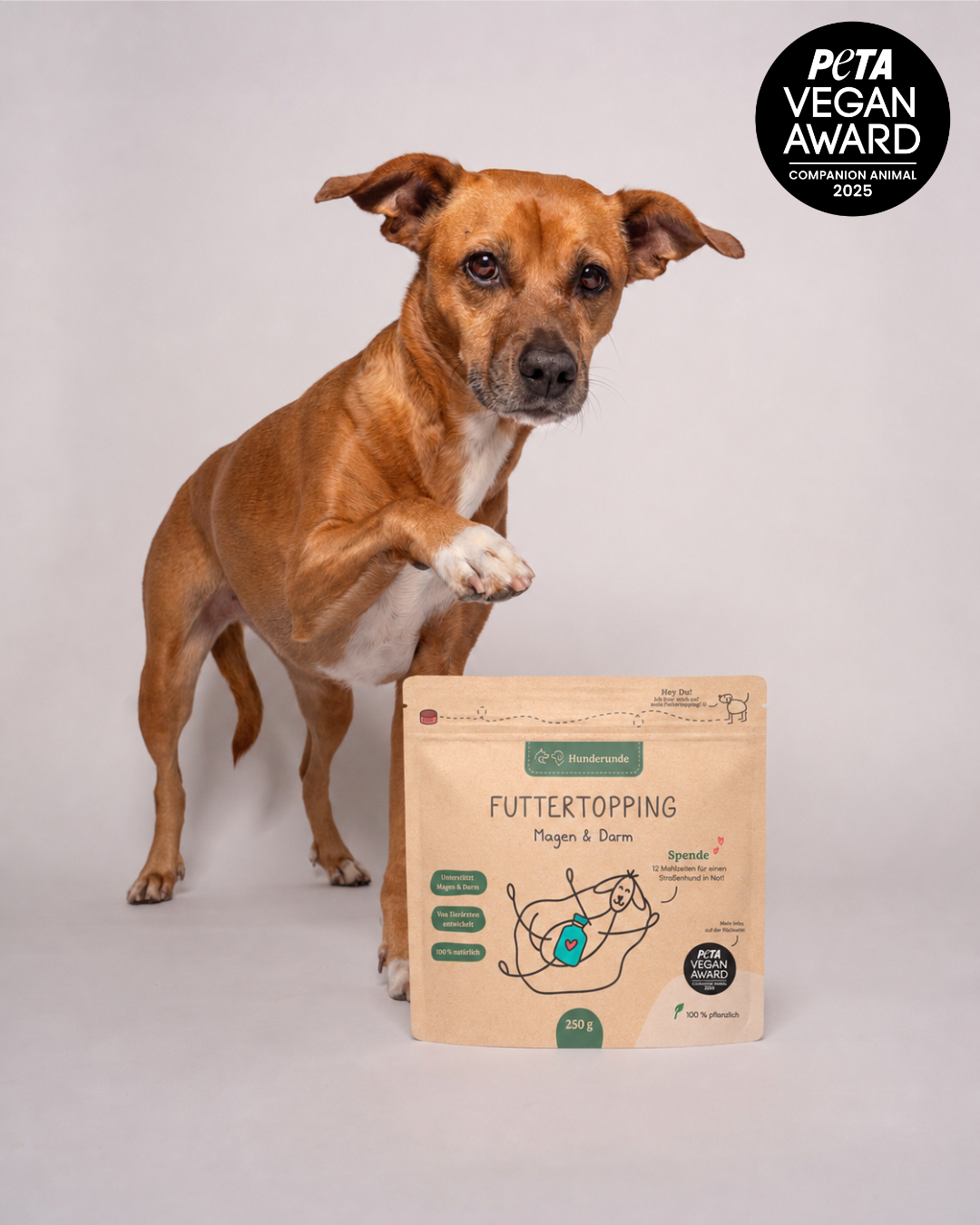 Hund mit Hunderunde Futtertopping Magen & Darm und PETA Vegan Award