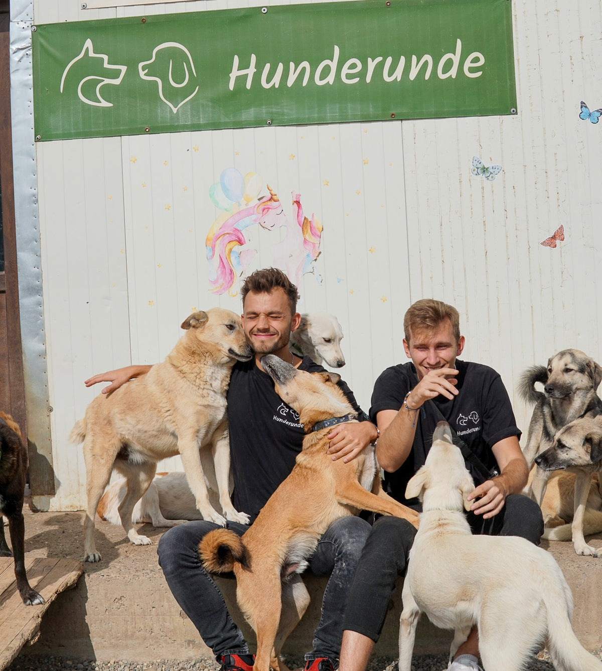 Faabio und Luis im Tierheim mit Hunden