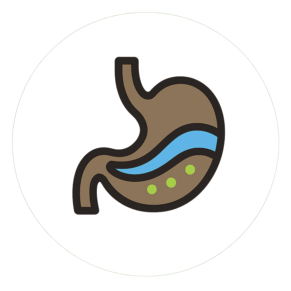 Magen mit Inhaltsstoffen Icon